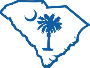 Logo for Palmetto