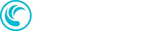 Logo TD SYNNEX - Pied de page